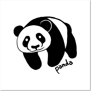 Panda2 Posters and Art